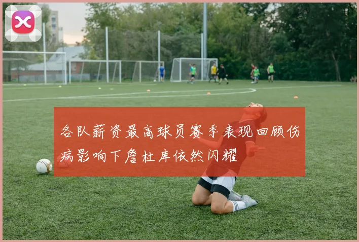 各队薪资最高球员赛季表现回顾伤病影响下詹杜库依然闪耀